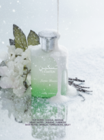 Firefly_Gemini Flash (12)