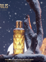 Firefly_Gemini Flash (13)