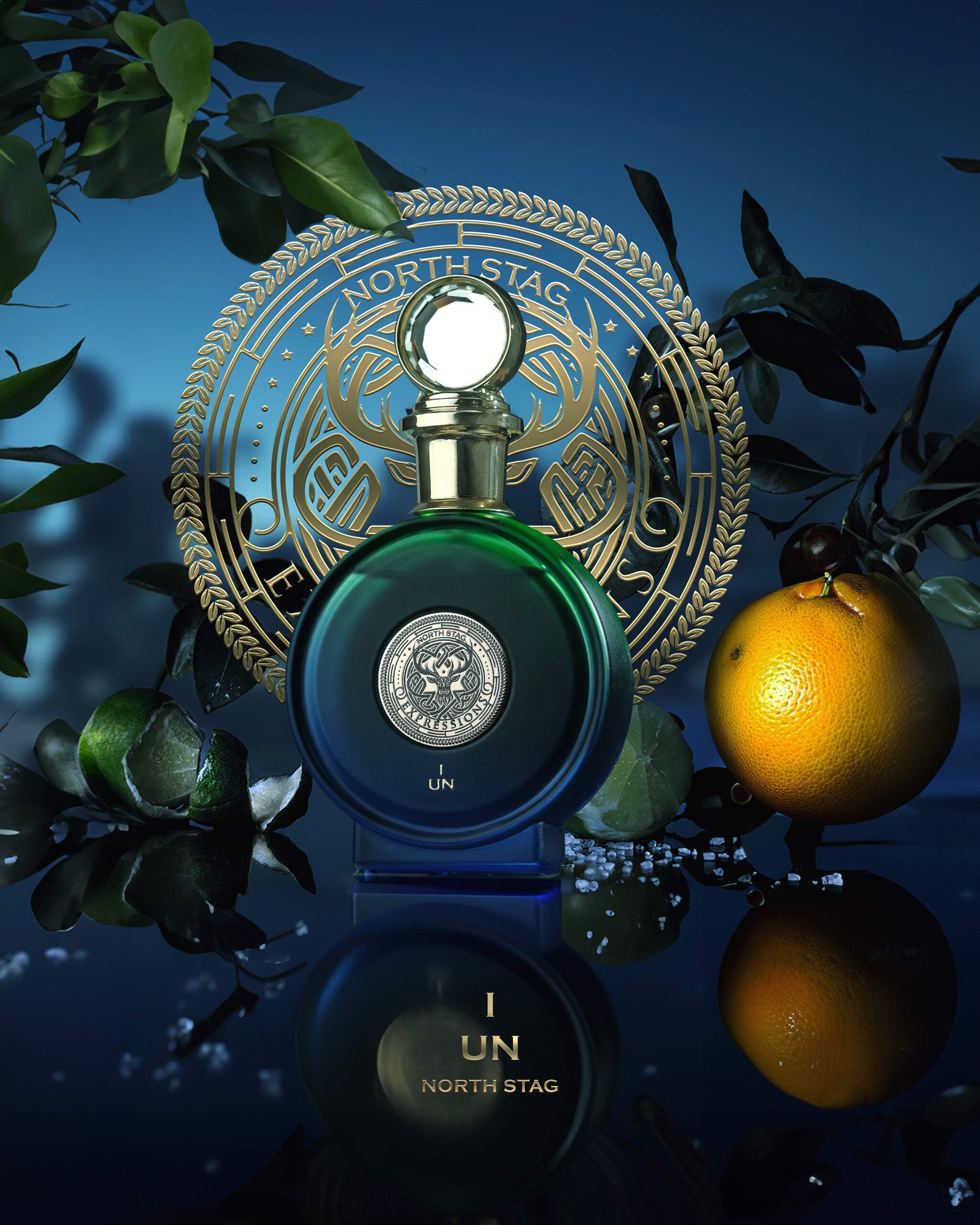 UN I NORTH STAG EXPRESSIONS 03