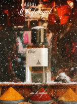 Firefly_Gemini Flash (7)