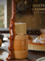 Firefly_Gemini Flash (1)