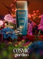 COSMIC GIARDINO STORY