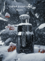 Firefly_Gemini Flash (43)