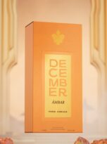 DECEMBER AMBAR – Poster 3