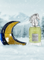 Firefly_Gemini Flash (22)