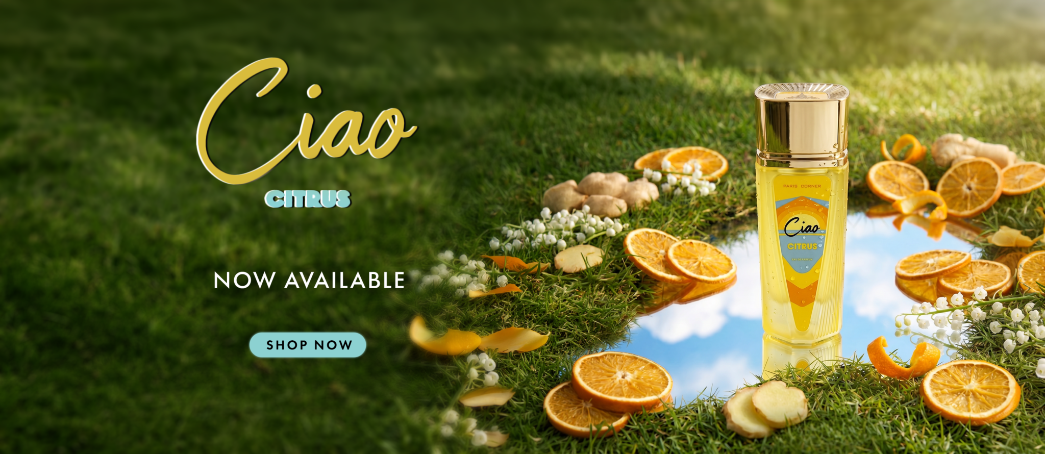 Ciao Citrus Banner 1