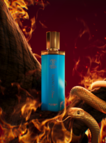Mango Flames Poster (2) (2)